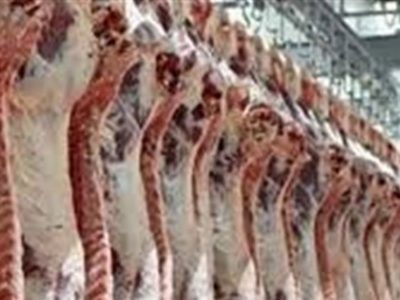 توزیع گوشت گوسفندی ۱۴۲ هزار تومانی بدون محدودیت در کشور
