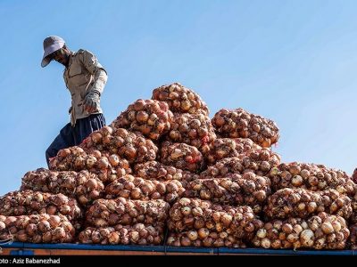 کاهش قیمت پیاز به ۱۰ هزار تومان با افزایش عرضه طی روزهای آینده