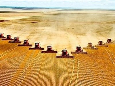 روسیه برای رفع مشکلات توزیع غلات از طریق ایران و ترکیه نشست گذاشت