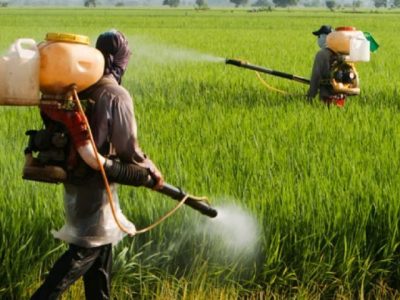 قیمت سموم تولید داخل افزایشی نداشته است