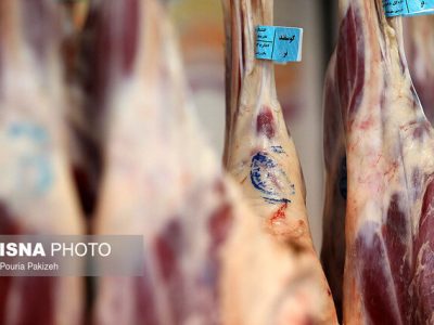 توزیع گوشت قرمز منجمد در سامانه ستکاوا