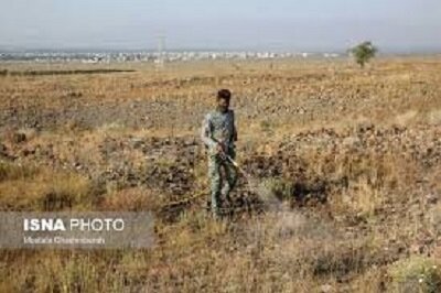 سازمان حفظ نباتات متولی بررسی کیفیت سموم وارداتی است