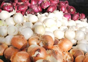 قیمت پیاز هنوز کاهشی نشده/ بسترهای کاهش قیمت باید فراهم شود