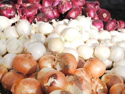 قیمت پیاز هنوز کاهشی نشده/ بسترهای کاهش قیمت باید فراهم شود