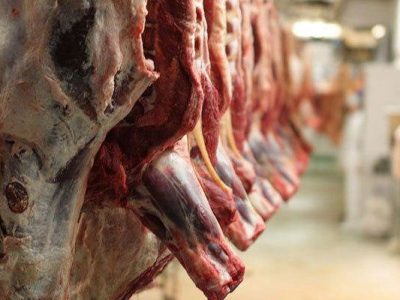 علت افزایش قیمت گوشت/ مسئولان وعده کاهش قیمت‌ را داده‌اند