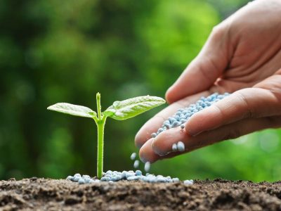 رشد ۲۷ درصدی توزیع کودهای یارانهای با اولویت اجرای الگوی کشت