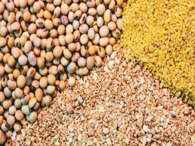 تخصیص تسهیلات و افزایش سهمیه نهاده به کارخانجات خوراک دام با فناوریهای جدید