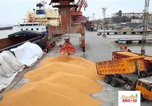 ضرورت شفاف‌سازی گمرک در خصوص ۹ هزار تن غلات مرجوعی از بندر امام