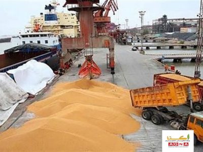 ضرورت شفاف‌سازی گمرک در خصوص ۹ هزار تن غلات مرجوعی از بندر امام