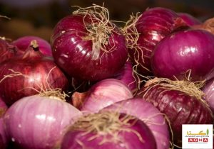 عوارض صادرات پیاز به ۱۰۰درصد افزایش یافت