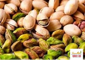 بزرگترین تولید کننده پسته خراسان رضوی امکان صادرات ندارد