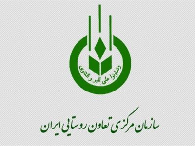 ۷۶ پروژه زیرساختی شبکه تعاون روستایی ایران در ایام دهه فجر افتتاح می‌شود