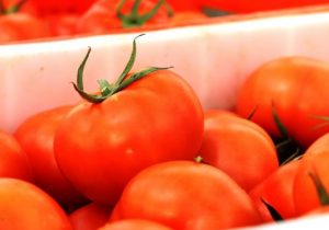 عوارض ۷۰ درصدی صادرات گوجه لغو شد