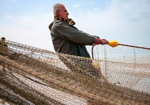 صید ماهیان استخوانی در شمال کشور ۶۶ درصد افزایش یافت