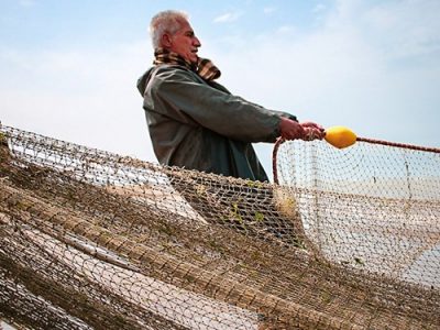 صید ماهیان استخوانی در شمال کشور ۶۶ درصد افزایش یافت