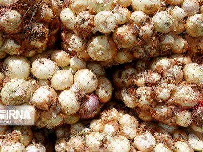 ورود یک محموله پیاز در بندر جاسک بهمنظور تنظیم بازار