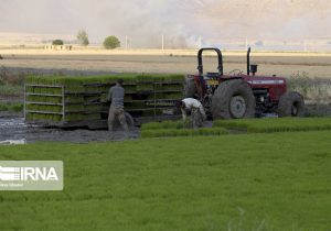 ورود دانشبنیانها به حوزه کشاورزی/۲۶۰ نیاز به فناوران این حوزه معرفی شد