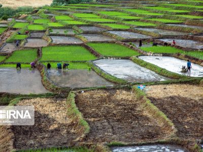 پیش‌بینی میانگین رشد اقتصادی ۸ درصدی در برنامه هفتم توسعه