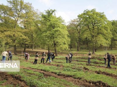 لزوم استفاده از توانمندی بخش خصوصی در اجرای طرح مردمی کاشت یک میلیارد درخت