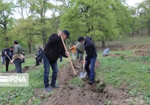 ضرورت تعامل و همگرایی بخش تحقیقات و اجرا در طرح کاشت یک میلیارد درخت