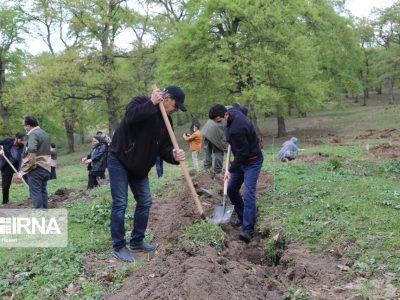 ضرورت تعامل و همگرایی بخش تحقیقات و اجرا در طرح کاشت یک میلیارد درخت