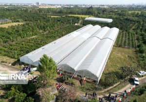 گلخانه، پل عبور از چالش کم آبی