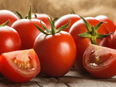 عوارض ۷۰ درصدی صادرات گوجه فرنگی تا پایان سال تمدید شد