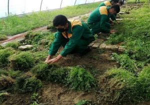 تخصیص ۳۵ میلیارد تومان ردیف اعتباری برای حفاظت از خاک کشاورزی