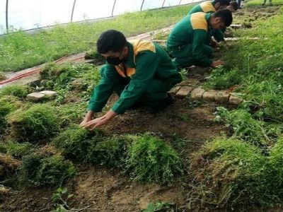 تخصیص ۳۵ میلیارد تومان ردیف اعتباری برای حفاظت از خاک کشاورزی