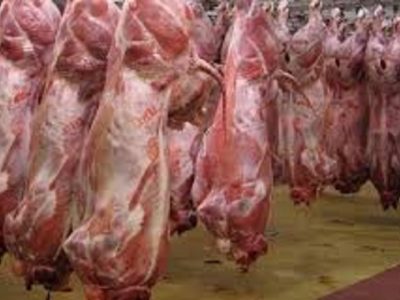 عرضه انبوه دام در بازار طی هفتههای آتی