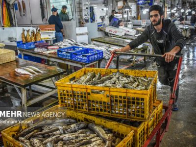 هدف گذاری تولید ۲.۶ میلیون تن محصولات آبزی در برنامه هفتم توسعه