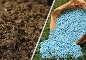 ایجاد محدودیت در واردات کود/ هیچ ثبت سفارش جدیدی انجام نمی‌شود