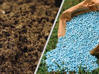 ایجاد محدودیت در واردات کود/ هیچ ثبت سفارش جدیدی انجام نمی‌شود