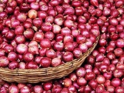 قیمت پیاز با عرضه گسترده محصول مناطق جنوب کاهش یافت