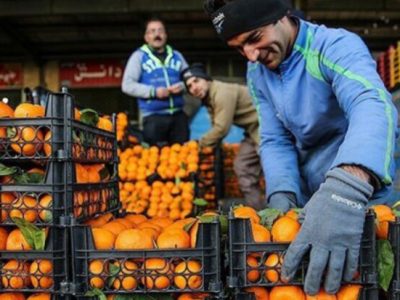 تجارت ایران و چین در بخش کشاورزی افزایش می یابد