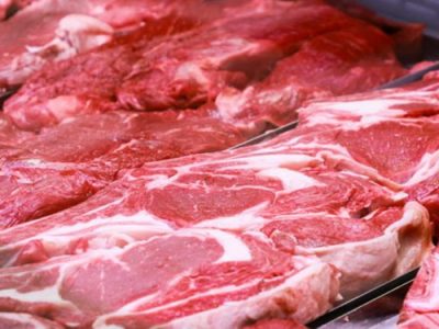 توقف اجرای طرح ایجاد نژاد گوسفند چند قلوزا و بیدنبه بهعلت کمبود اعتبار