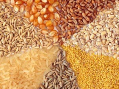 ارز نهاده‌های دام و طیور تامین شده است؟