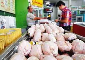 ورود دادستانی به ماجرای ضبط مرغ شرکت‌های پروتئینی/ پشتیبانی امور دام متعهد به تأمین نیاز صنعتی تولید‌کننده‌ها شد