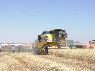 شورای قیمت‌گذاری بر سر نرخ ۱۵ هزار تومانی گندم به توافق نرسید