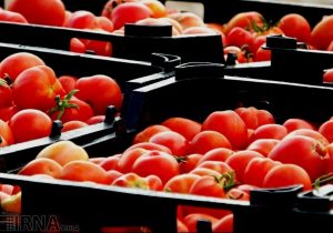 یارانه خرید توافقی محصولات کشاورزی به سازمان مرکزی تعاون روستایی اختصاص یافت