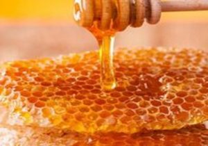 ایران رتبه چهارم تولید عسل در جهان را دارد