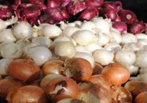 پیاز ارزان شد