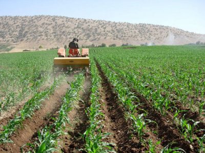 اجرای پروژه مشترک ایران و فائو در راستای تولید پایدار