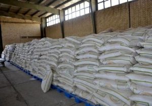 مشکل تامین نهاده مرغداران حل شد