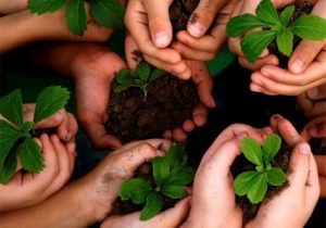 ضرورت تولید و پرورش علمی نهال و بذرهای منابع طبیعی