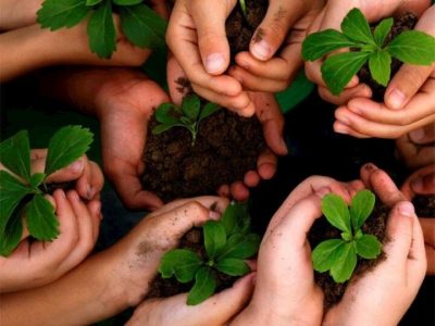 ضرورت تولید و پرورش علمی نهال و بذرهای منابع طبیعی