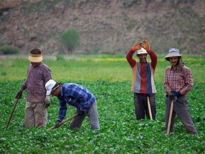 خسارت ۳۸۰۰ میلیارد تومانی به باغات اردبیل در اثر سرما/کاهش آب ورودی پشت سد خداآفرین