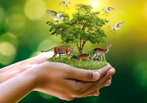 حفظ تنوع زیستی نیازمند تغییر در شیوه و نظام حکمرانی منابع طبیعی است