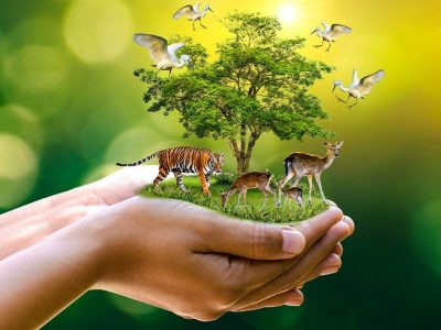 حفظ تنوع زیستی نیازمند تغییر در شیوه و نظام حکمرانی منابع طبیعی است