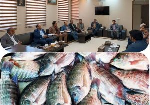ایجاد شهرک پایلوت کشوری پرورش ماهی تیلاپیا در یزد